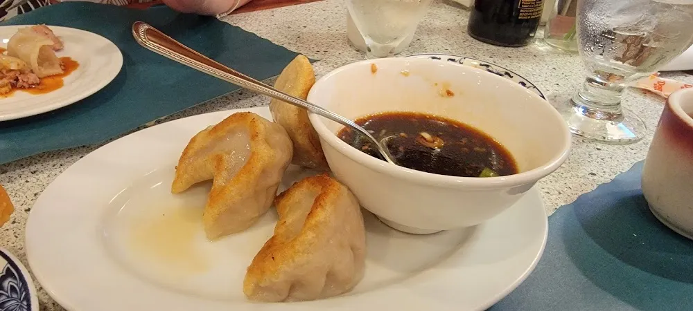 Pan Fried Dumplings